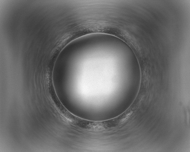 X0000059780113200510211101