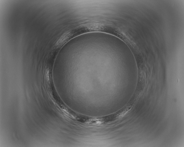 X0000059780117200510211101