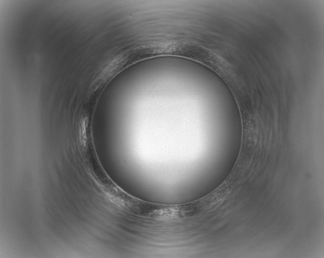 X0000059780118200510211101