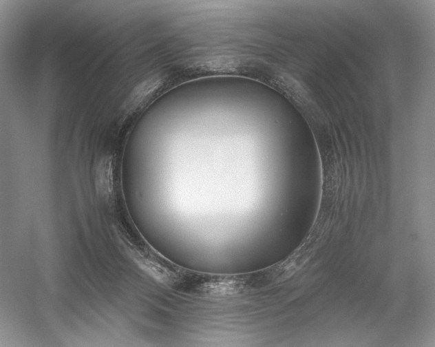 X0000059780120200510211101