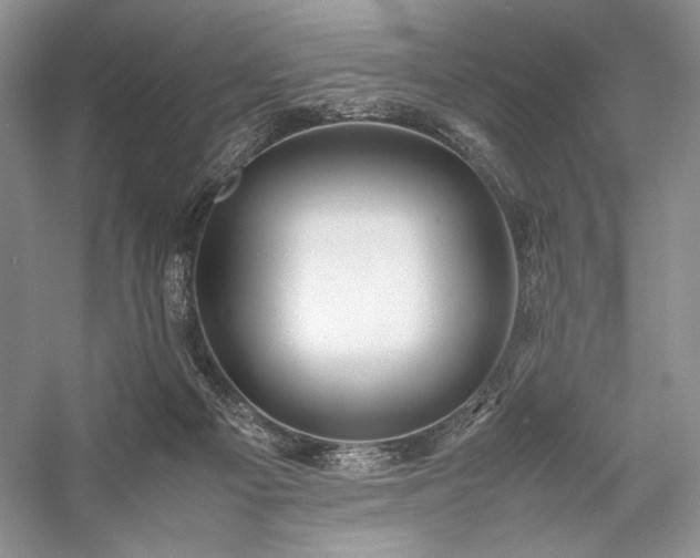 X0000059780121200510211101