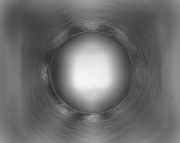 X0000059780122200510211101