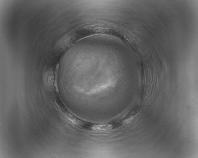 X0000059780137200510211101