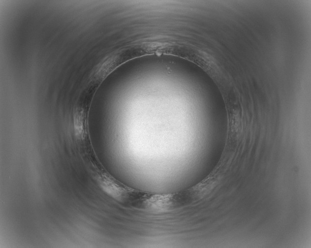 X0000059780138200510211101