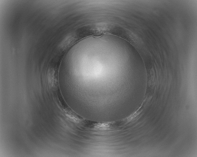 X0000059780140200510211101