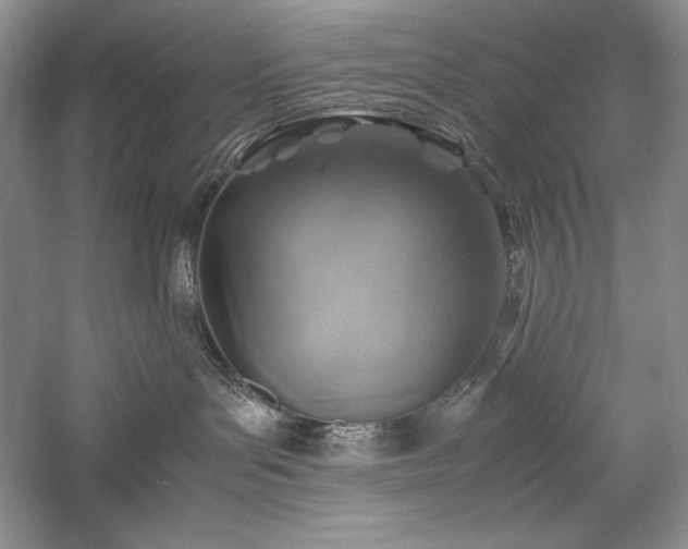 X0000059780143200510211101