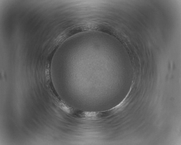 X0000059780144200510211101