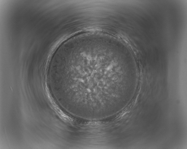 X0000059780145200510211100