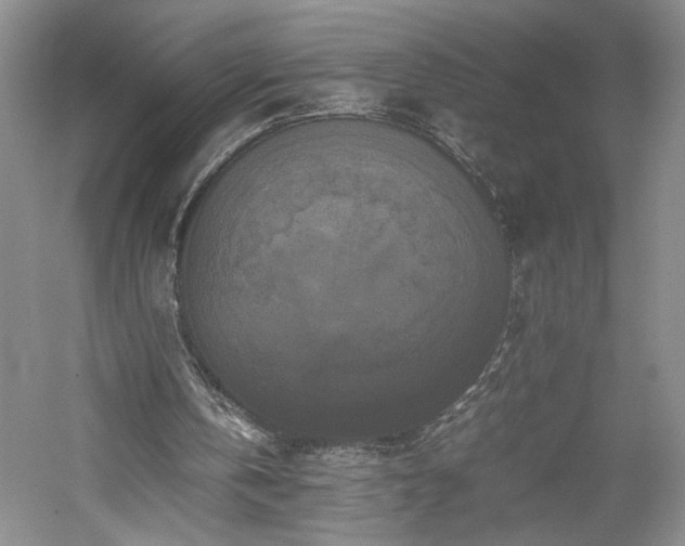X0000059780146200510211100