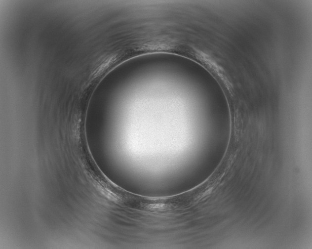 X0000059780153200510211100
