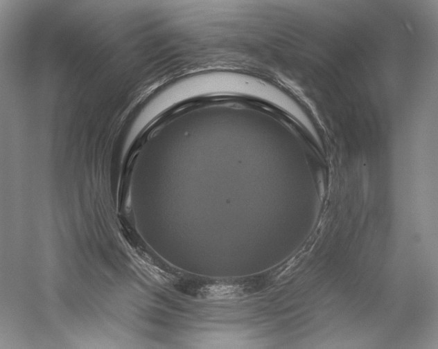 X0000059780154200510211100