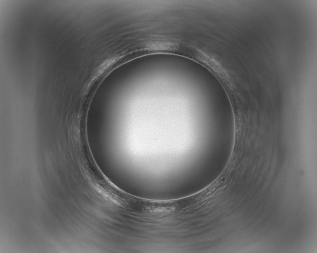 X0000059780155200510211100