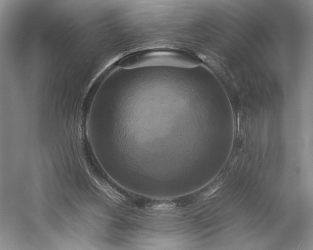 X0000059780156200510211100
