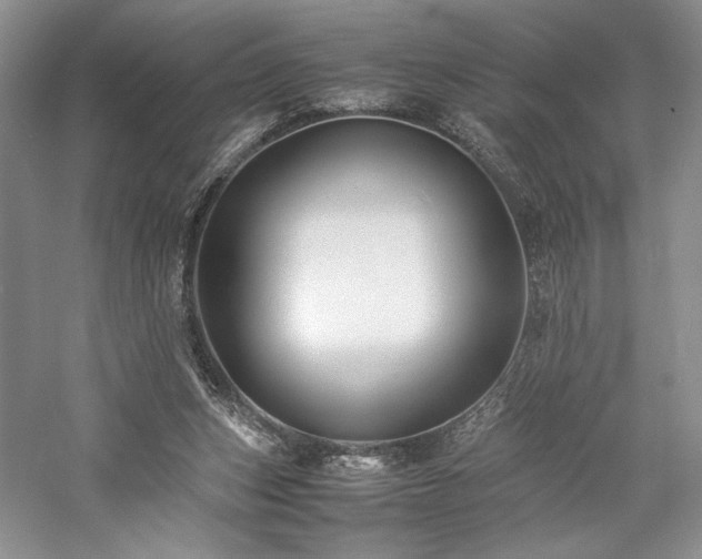 X0000059780159200510211100