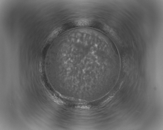 X0000059780161200510211100