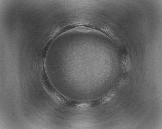 X0000059780168200510211100
