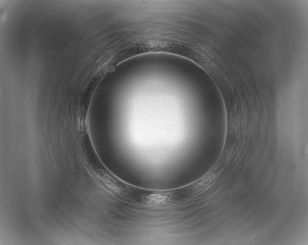 X0000059780176200510211100