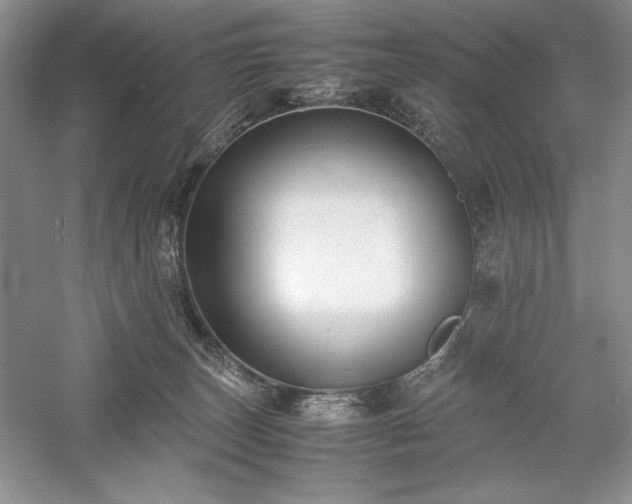 X0000059780179200510211100