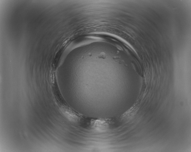 X0000059780180200510211100