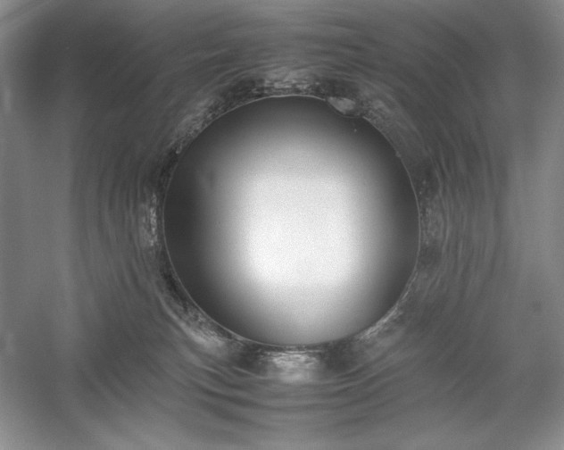 X0000059780183200510211100