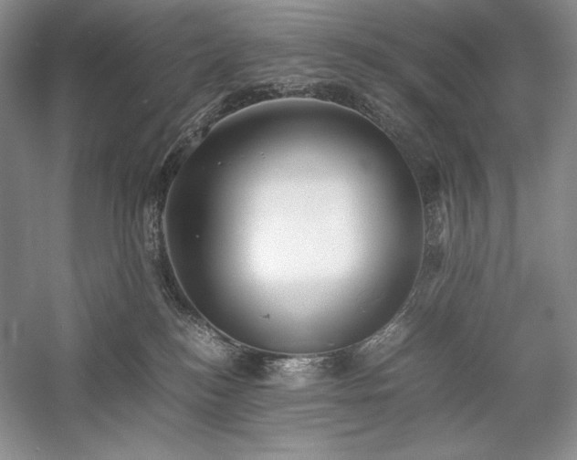 X0000059780184200510211100