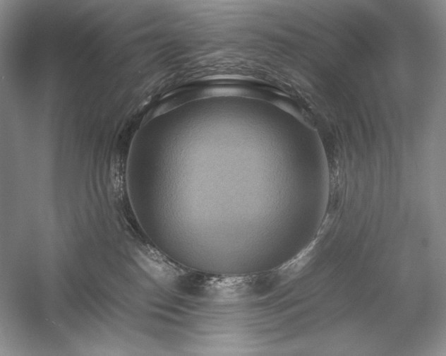 X0000059780186200510211100