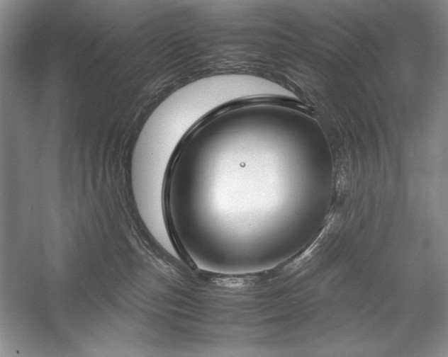 X0000059780187200510211100