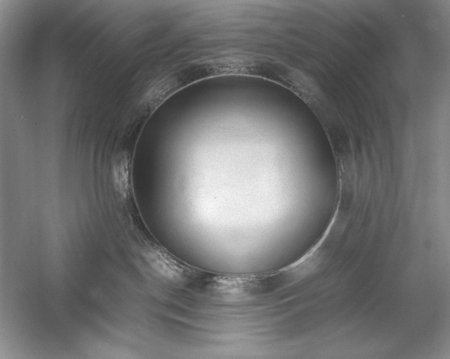 X0000059780190200510211100