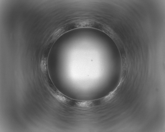 X0000059780191200510211100