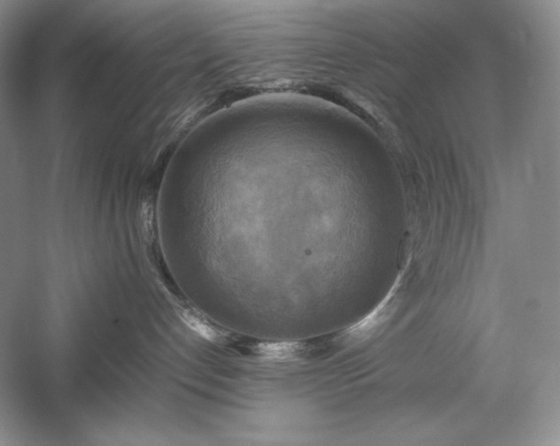 X0000059780192200510211101