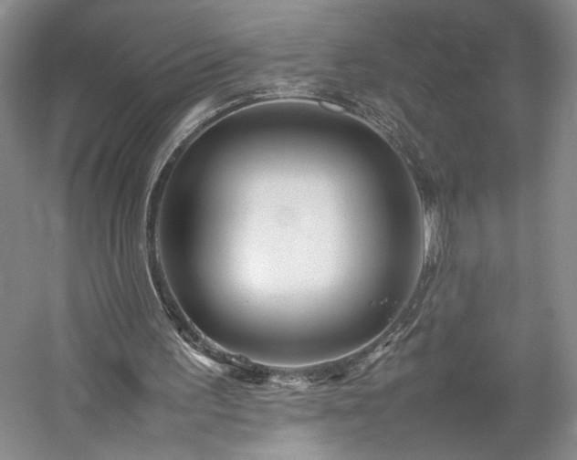 X0000059780195200510211100