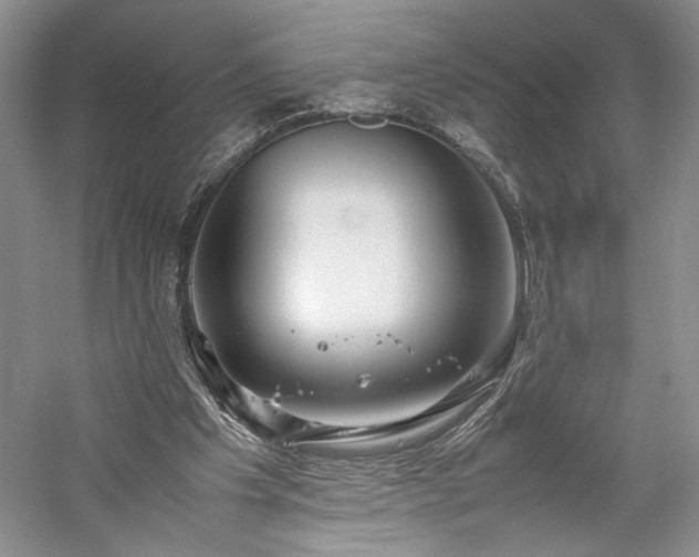 X0000059780201200510211100