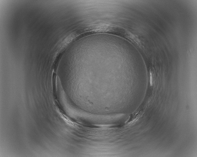 X0000059780205200510211059