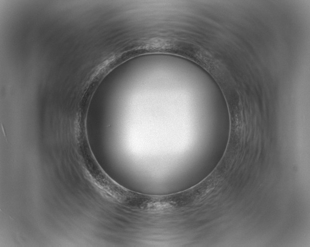 X0000059780208200510211059