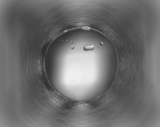 X0000059780210200510211059