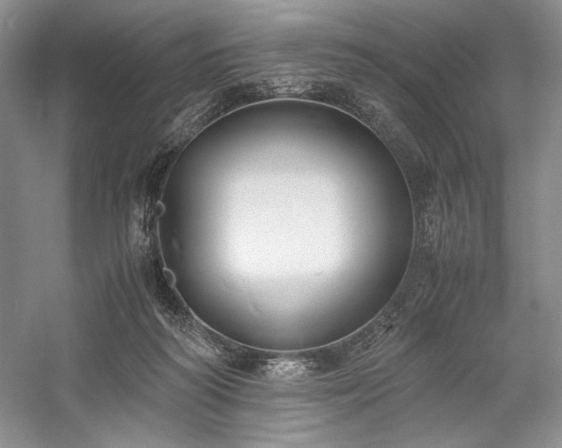 X0000059780218200510211059