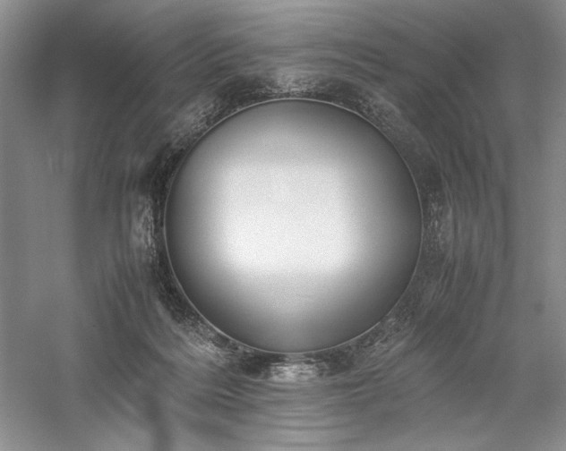 X0000059780220200510211059