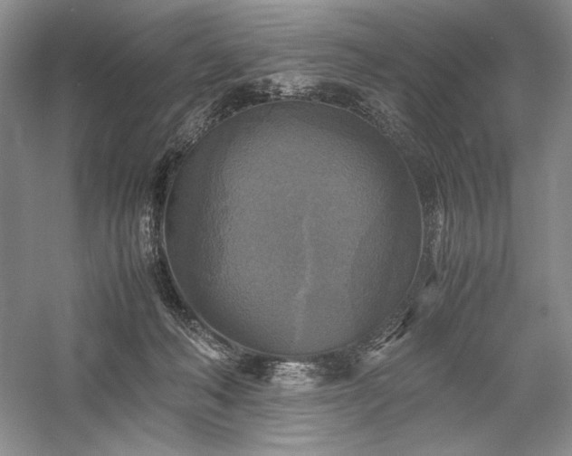 X0000059780222200510211059