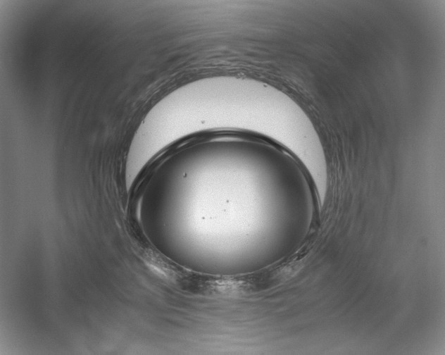 X0000059780233200510211059