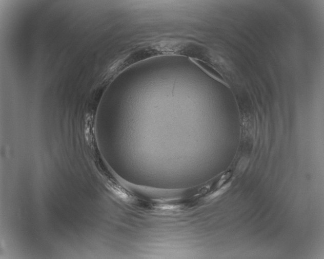 X0000059780237200510211059