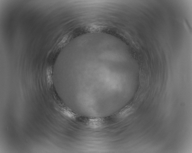 X0000059780240200510211059