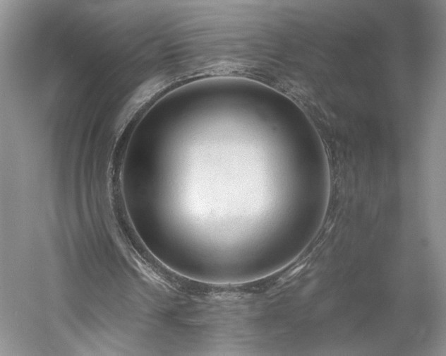 X0000059780242200510211058