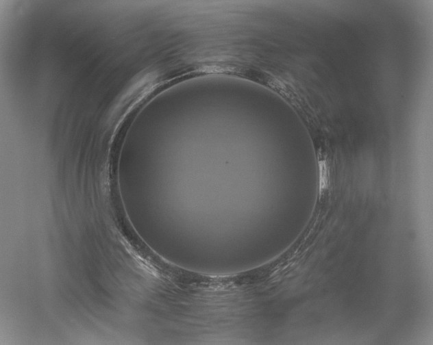 X0000059780243200510211058
