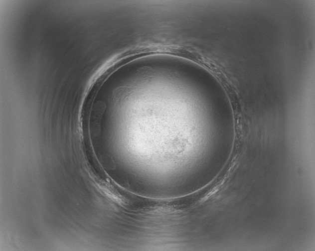 X0000059780246200510211058