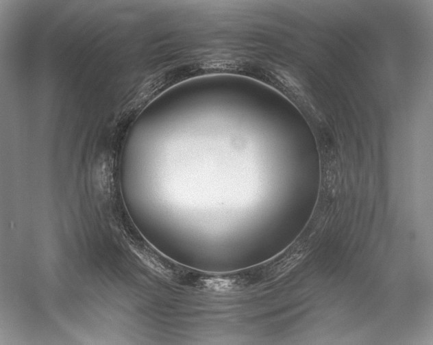X0000059780265200510211058