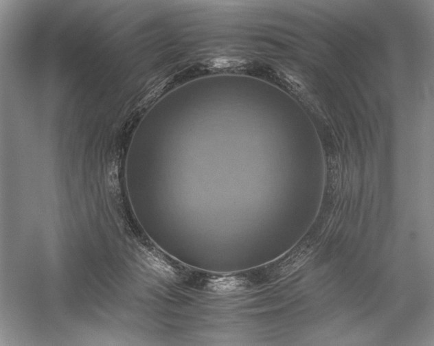 X0000059780269200510211059