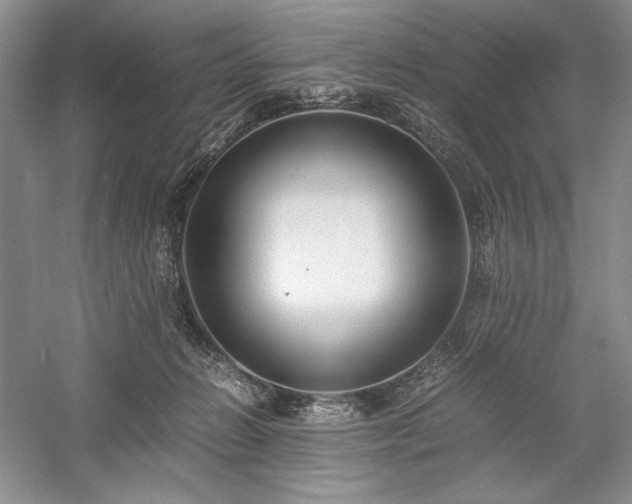 X0000059780270200510211059