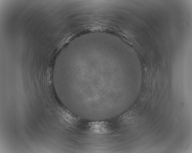 X0000059780273200510211059