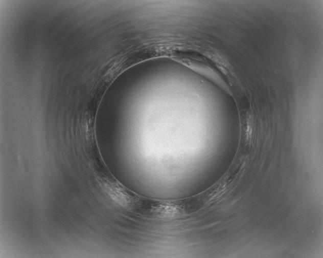 X0000059780276200510211059
