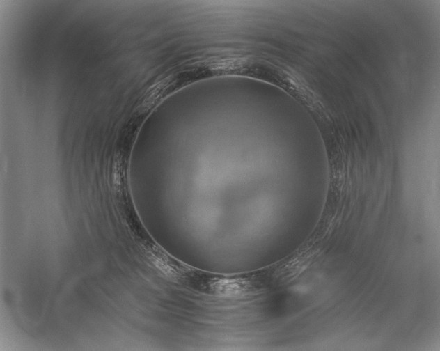 X0000059780277200510211059
